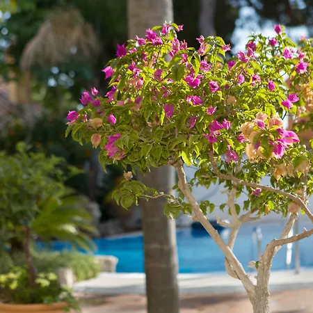 Hotel Soho Boutique Vistahermosa 4*
